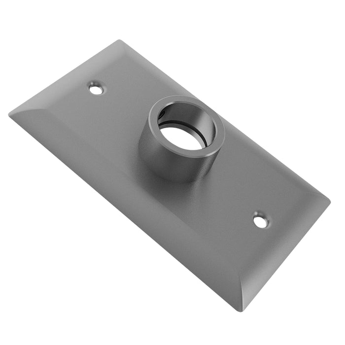 Grey Stainless Steel Wall Plate