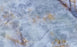 Serene Porcelain Blue Tile High Gloss 1