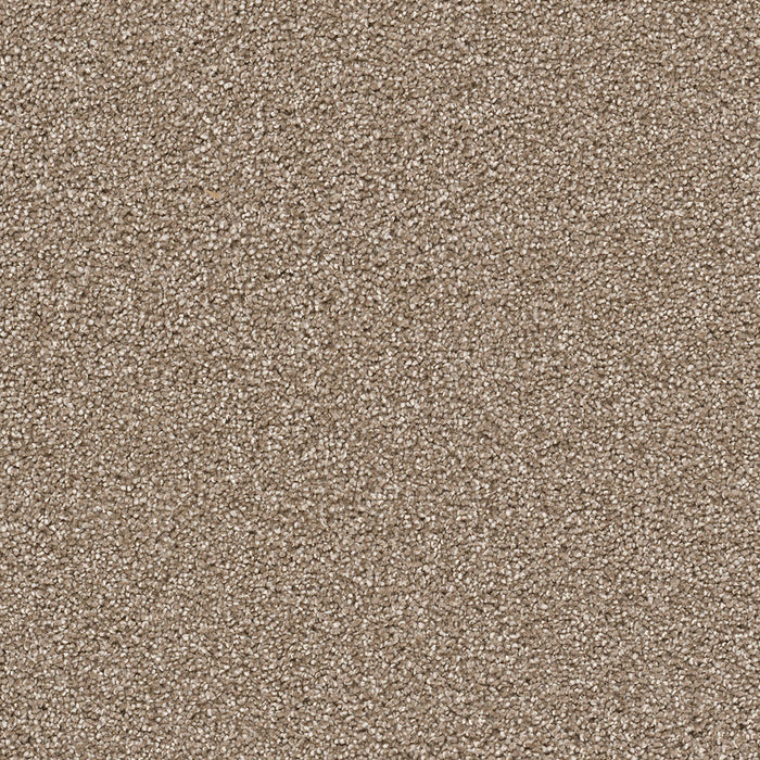 Cape Cod Polyester Quail 725 Carpet Textured 1