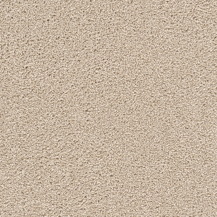 Cape Cod Polyester Ivory 730 Carpet Textured 1