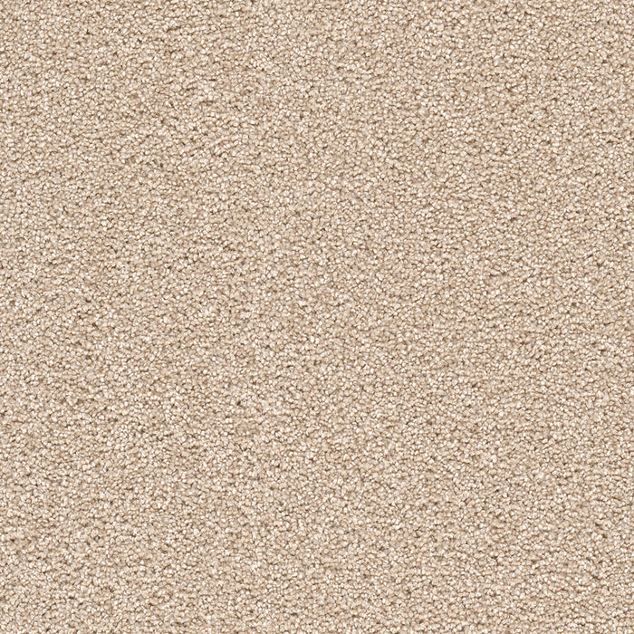 Cape Cod Polyester Blush 735 Carpet Textured 1