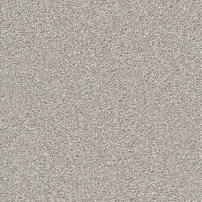 Cape Cod Polyester Dove 800 Carpet Textured 1