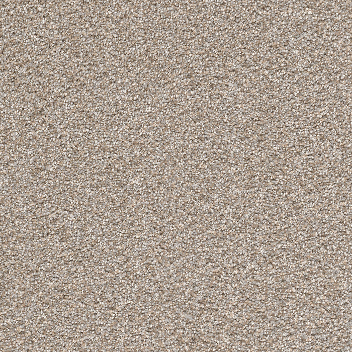Cape Cod Polyester Iron Frost 815 Carpet Textured 1