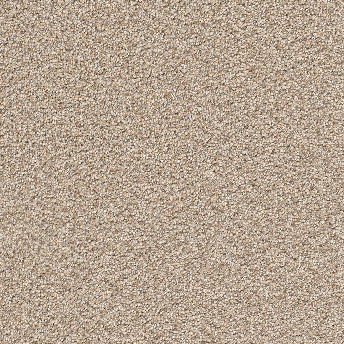 Cape Cod Polyester Linen 824 Carpet Textured 1