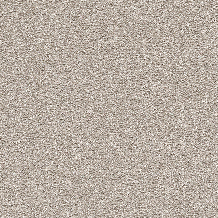 Cape Cod Polyester Silver Lining 830 Carpet Textured 1