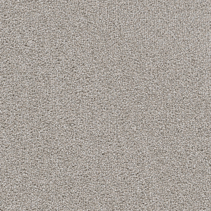 Cape Cod Polyester Chrome 927 Carpet Textured 1