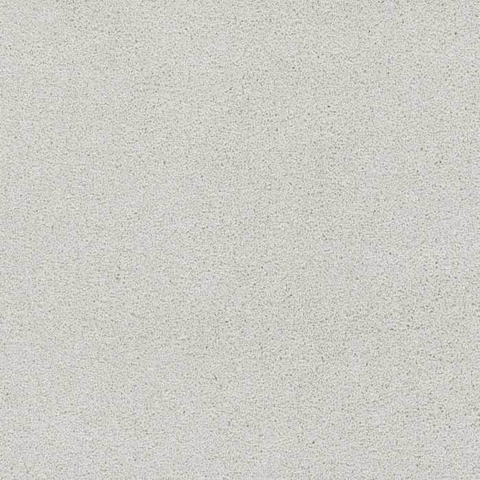 Cape Cod Polyester Snowbird 944 Carpet Textured 1