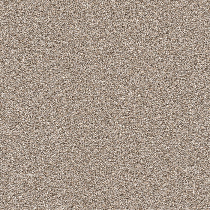 Cape Cod Polyester Ash 945 Carpet Textured 1