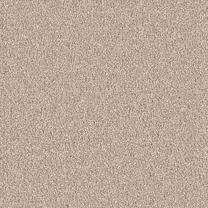East Hampton Polyester Sawgrass 701 Carpet Textured 1