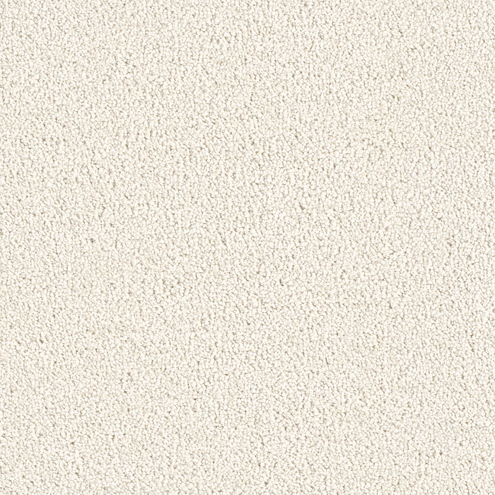 East Hampton Polyester Pearlesque 716 Carpet Textured 1