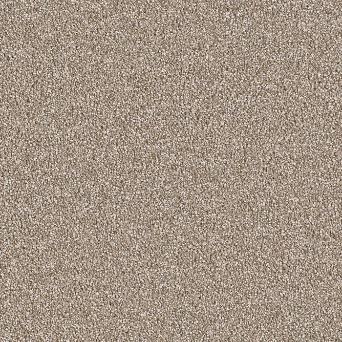 East Hampton Polyester Quail 725 Carpet Textured 1
