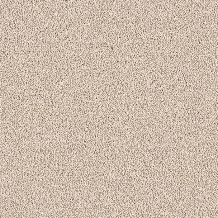East Hampton Polyester Ivory 730 Carpet Textured 1