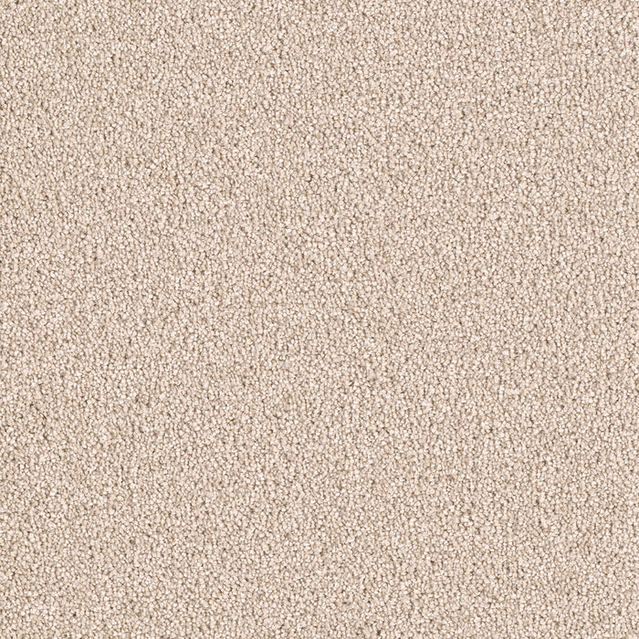 East Hampton Polyester Blush 735 Carpet Textured 1