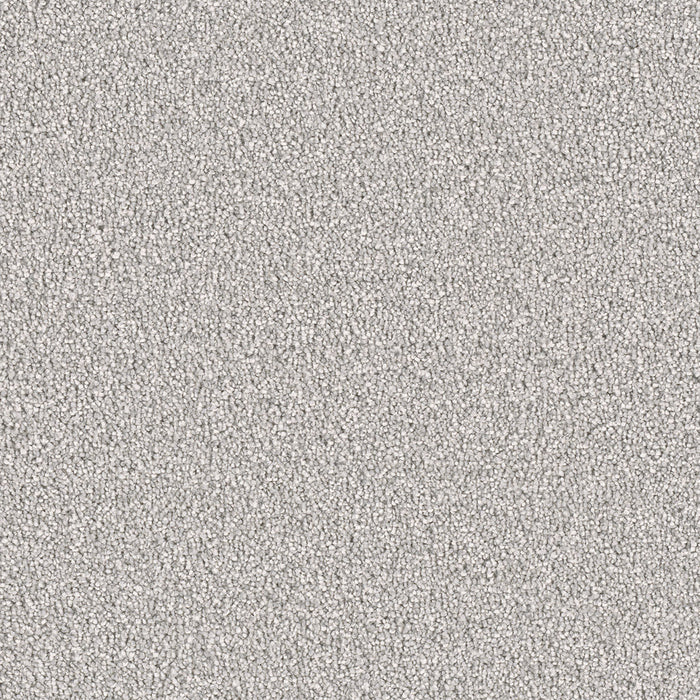 East Hampton Polyester Dove 800 Carpet Textured 1