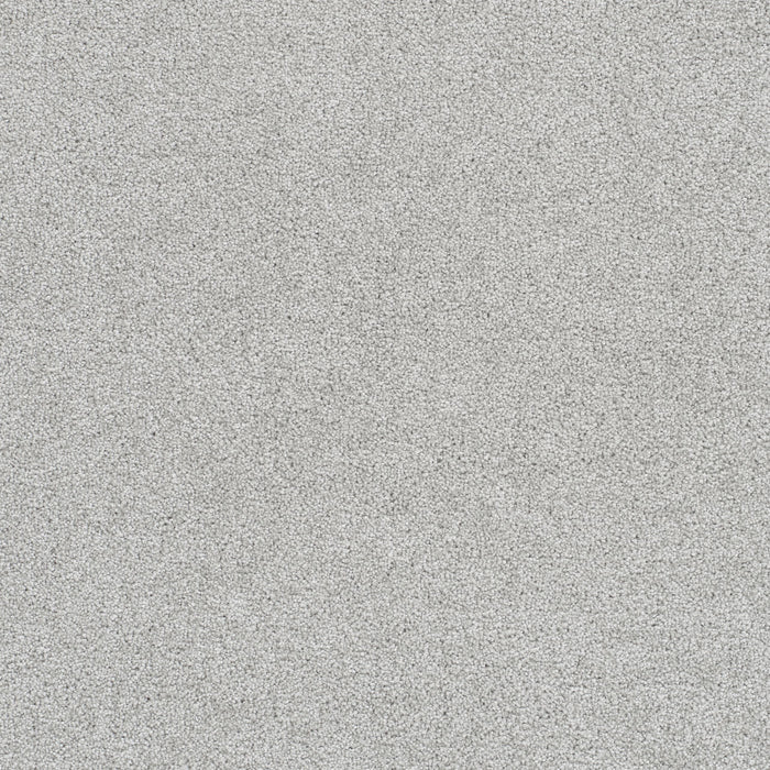 East Hampton Polyester Morning Dove 813 Carpet Textured 1
