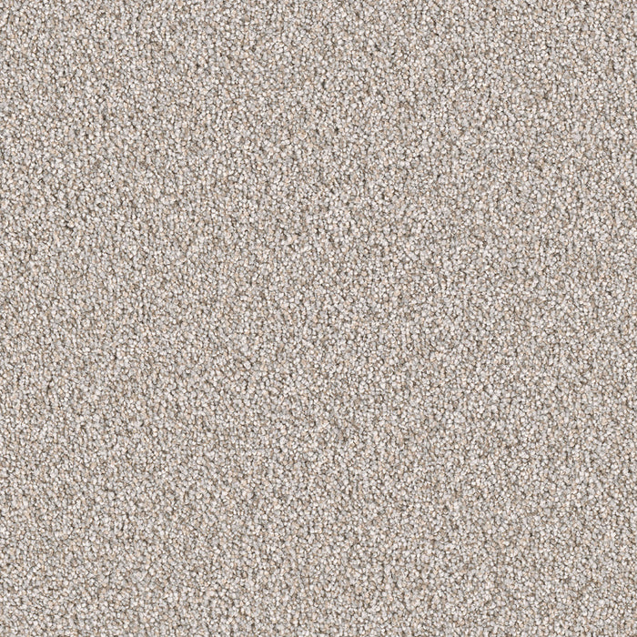East Hampton Polyester Iron Frost 815 Carpet Textured 1