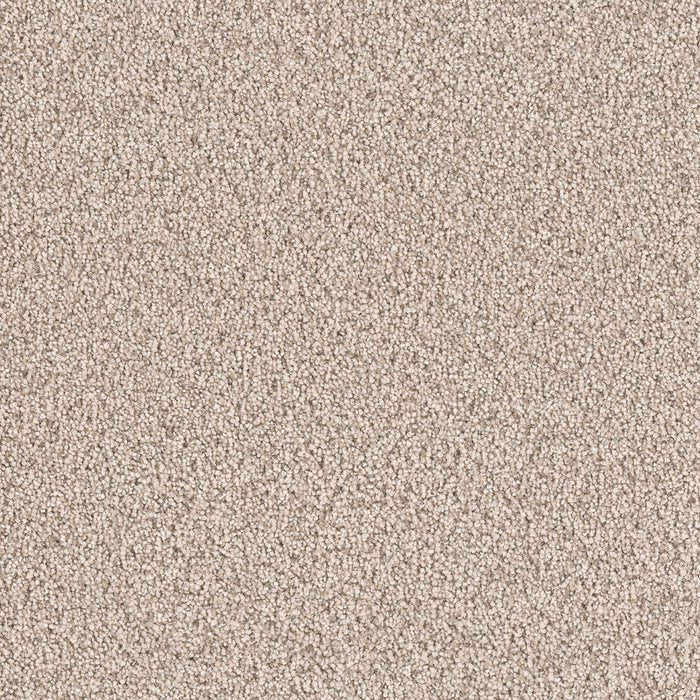 East Hampton Polyester Linen 824 Carpet Textured 1