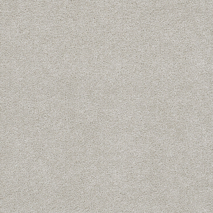 East Hampton Polyester Andes 924 Carpet Textured 1