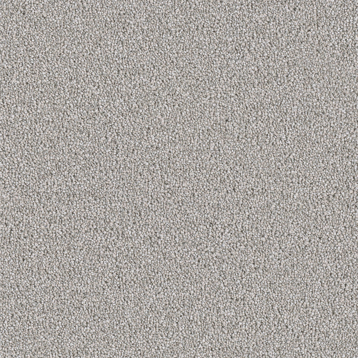 East Hampton Polyester Chrome 927 Carpet Textured 1