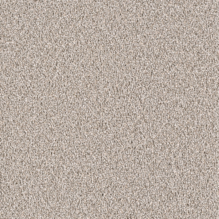 East Hampton Polyester Ash 945 Carpet Textured 1
