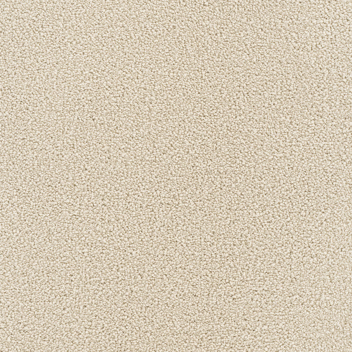 Montauk Polyester Ivory 730 Carpet Textured 1