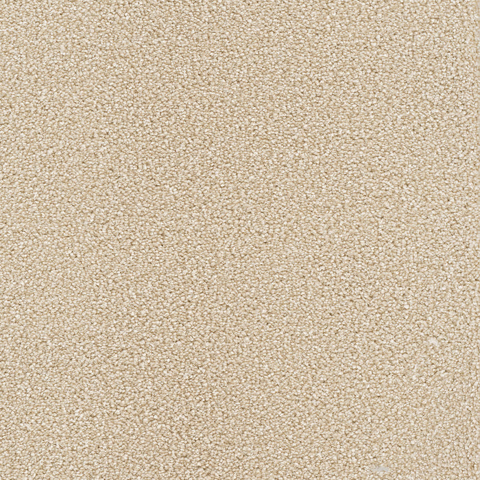 Montauk Polyester Blush 735 Carpet Textured 1