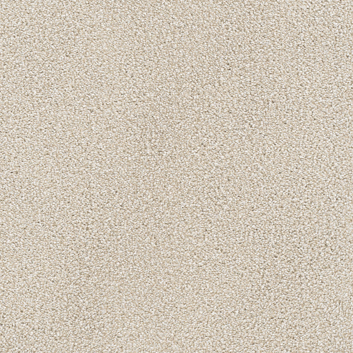 Montauk Polyester Parchment 744 Carpet Textured 1