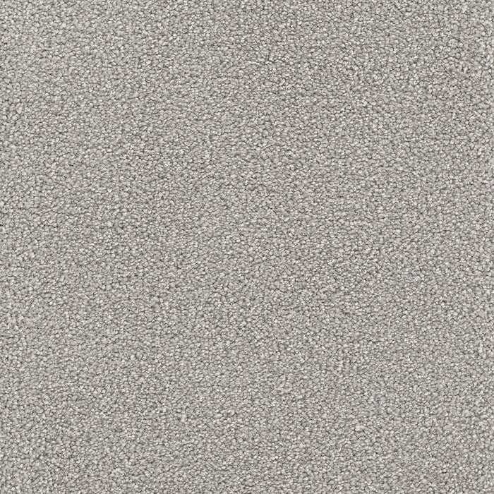 Montauk Polyester Dove 800 Carpet Textured 1