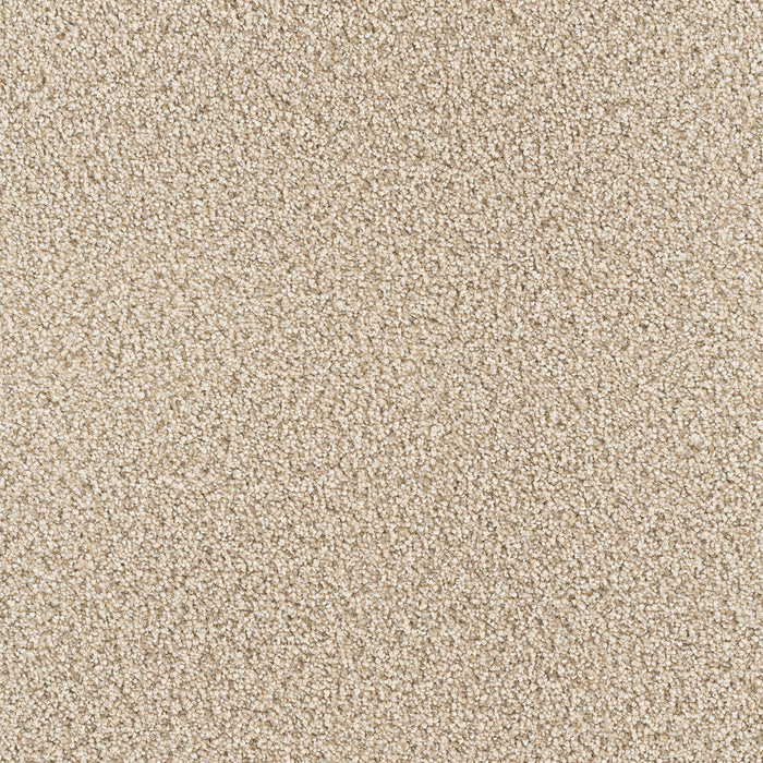 Montauk Polyester Linen 824 Carpet Textured 1