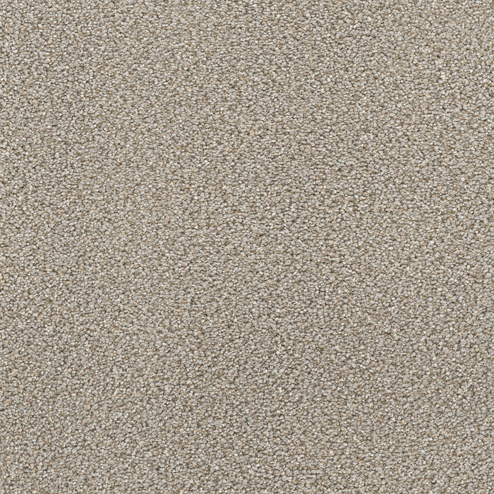 Montauk Polyester Ash 945 Carpet Textured 1