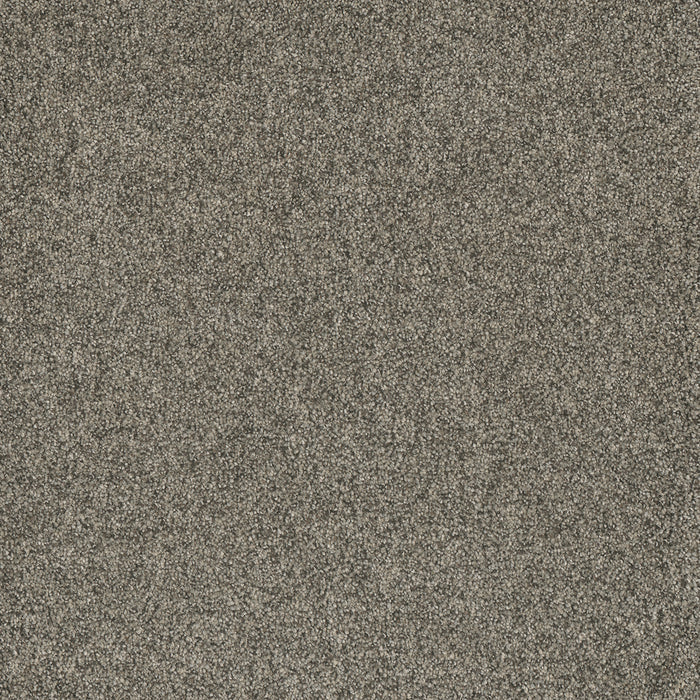 Astounding II Polyester Anchors Aweigh 993 Carpet Textured 1
