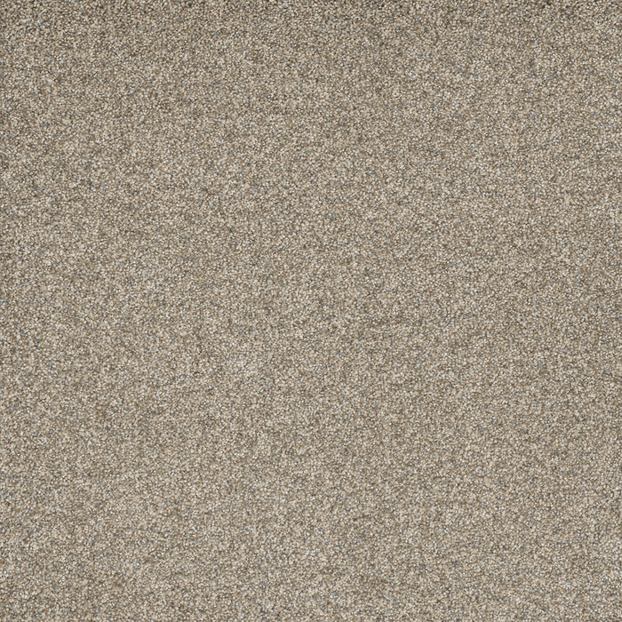 Astounding I Polyester Nordic Mist 837 Carpet Textured 1