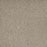 Astounding II Polyester Nordic Mist 837 Carpet Textured 1