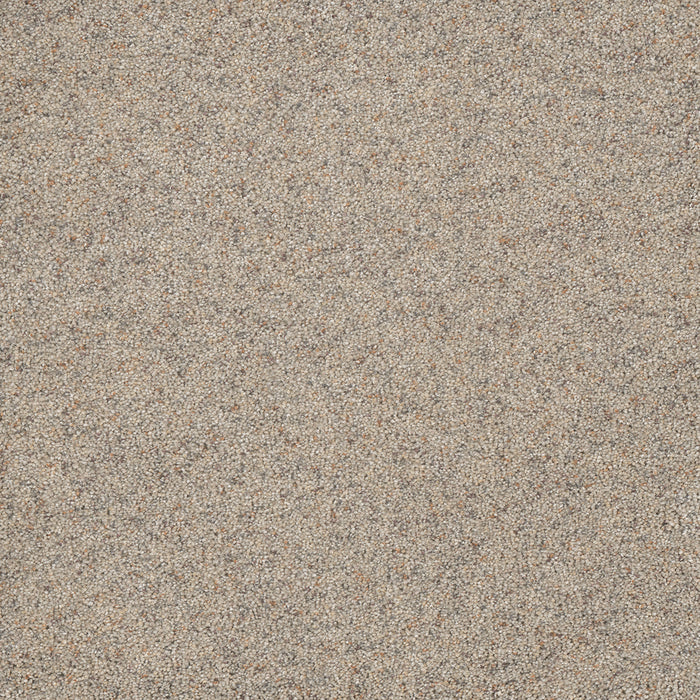 Astounding II Polyester Baymont 805 Carpet Textured 1