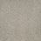 Astounding III Polyester Wishing Well 794 Carpet Textured 1