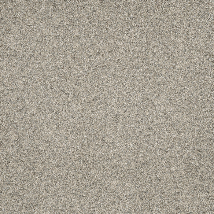 Astounding III Polyester Wishing Well 794 Carpet Textured 1