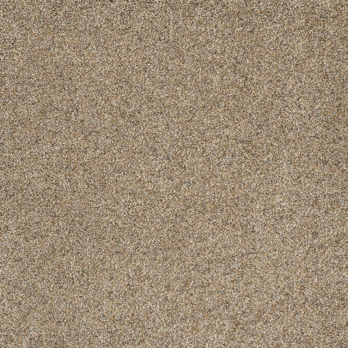 Astounding II Polyester Pearl Stone 632 Carpet Textured 1