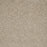 Astounding II Polyester Amberwood 529 Carpet Textured 1