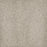 Astounding II Polyester Morning Dew 508 Carpet Textured 1