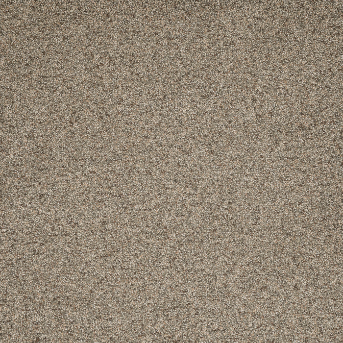 Astounding I Polyester Oceantide 353 Carpet Textured 1