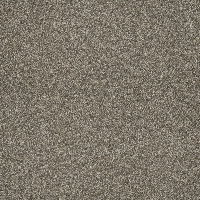 Astounding III Polyester Fine Details 259 Carpet Textured 1