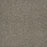 Astounding II Polyester Fine Details 259 Carpet Textured 1