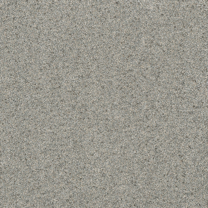 Astounding III Polyester Dreamcatcher 233 Carpet Textured 1