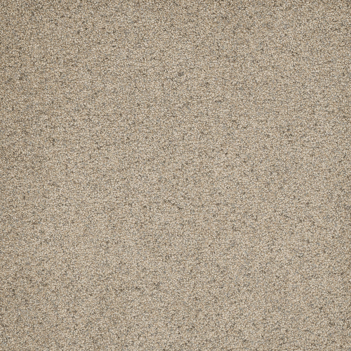 Astounding III Polyester Celedon 184 Carpet Textured 1
