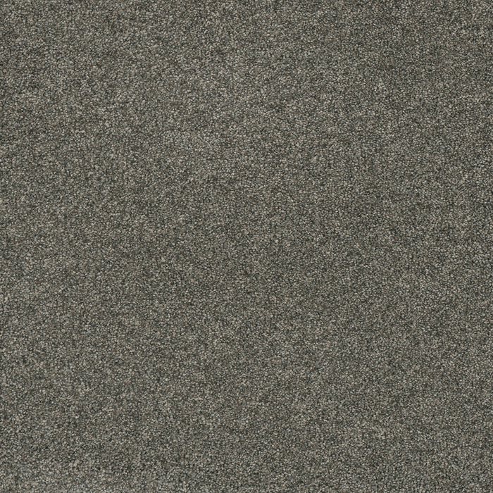 Astounding III Polyester Rockwell 123 Carpet Textured 1