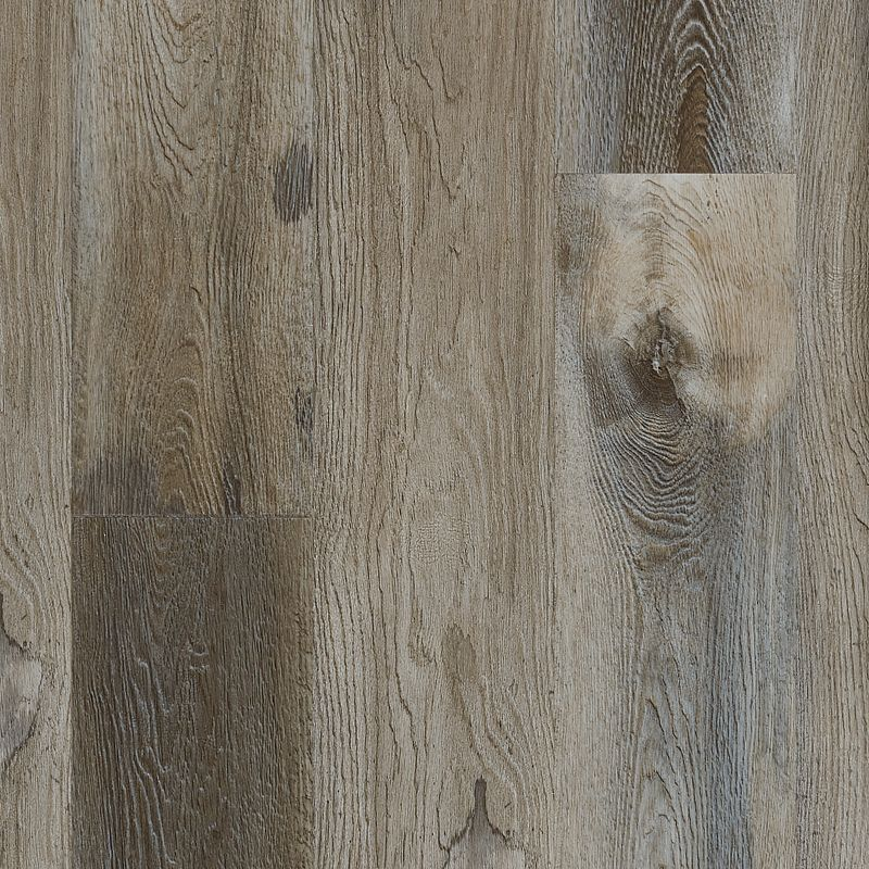 Mohawk Explorer's Cove 259 Raccoon Embossed Luxury Vinyl Plank — Stone ...