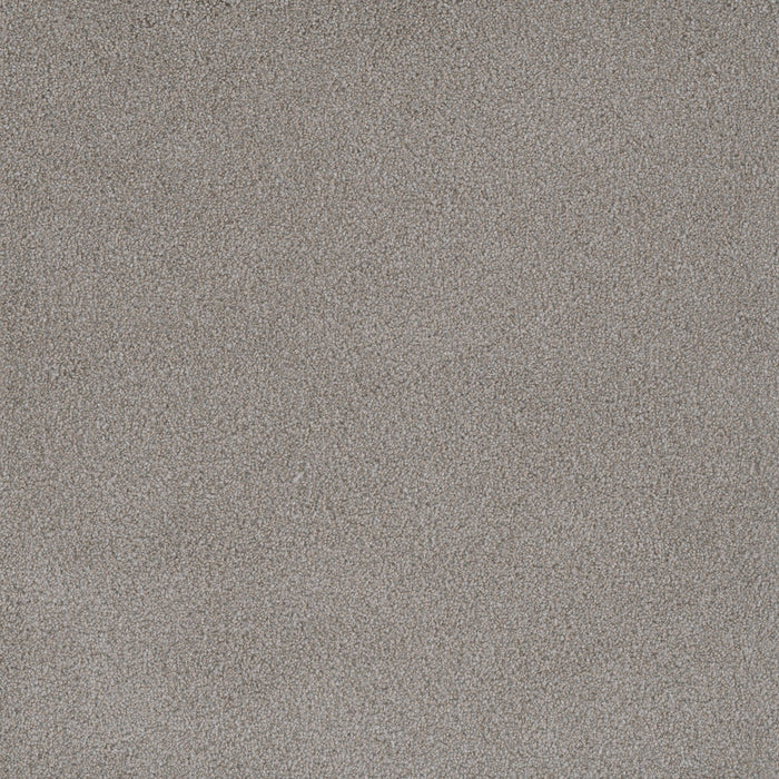 Palmetto III Polyester Cherry Blossom 2056 Carpet Textured 1