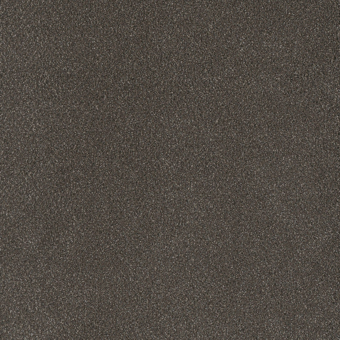 Palmetto III Polyester Bear Paw 2064 Carpet Textured 1