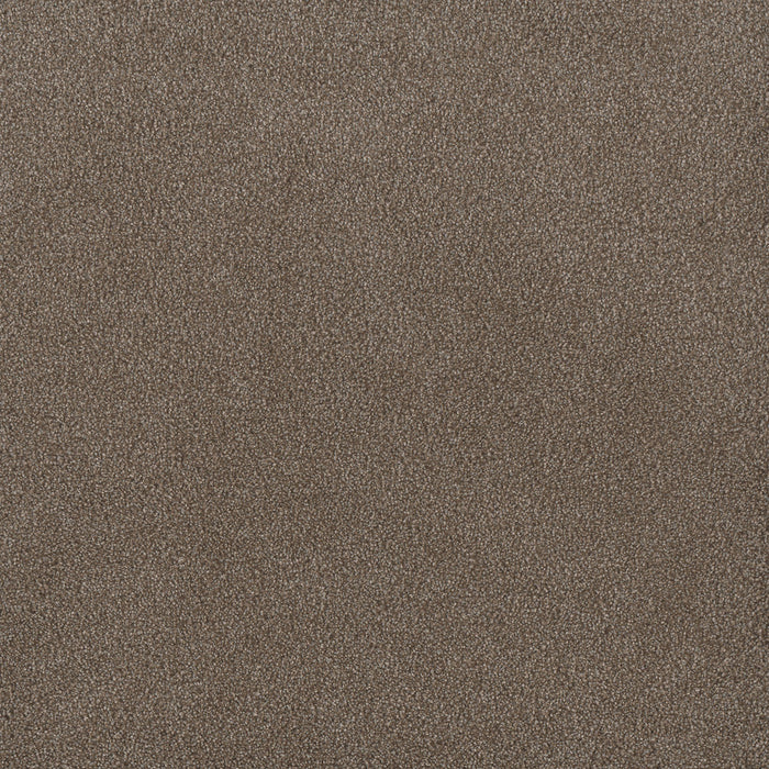 Palmetto I Polyester Eagle Crest 2114 Carpet Textured 1