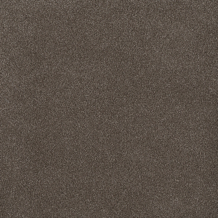 Palmetto III Polyester Tea Time 2189 Carpet Textured 1